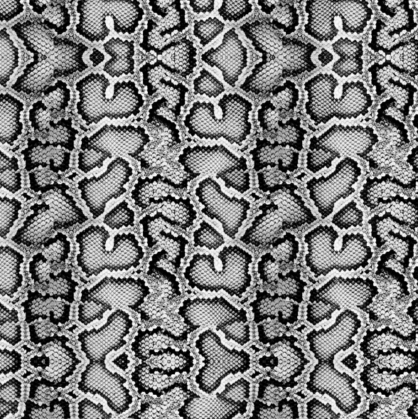 How to Add Patterns to Your Designs in Easy View® Transfer Express Blog